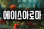 에이스아로마