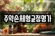 주약손체형교정명가