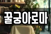 꿀궁아로마