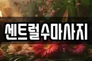 센트럴수마사지