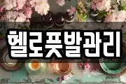 헬로풋발관리