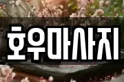 호우마사지