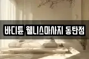 바디튠 웰니스마사지 동탄점