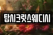 탑시크릿스웨디시
