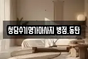 경기 화성시 병점동 마사지, 지압등 업체정보