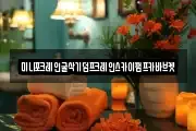 미니포크레인굴삭기덤프크레인스카이펌프카바브켓