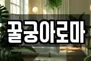 꿀궁아로마