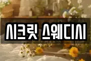 시크릿 스웨디시