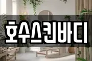 호수스킨바디