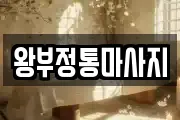 경기 화성시 새솔동 마사지, 지압등 업체정보