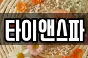 타이앤스파