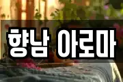 향남 아로마