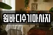 원바디수기마사지
