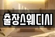 출장스웨디시