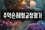 주약손체형교정명가
