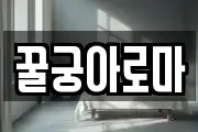 꿀궁아로마