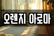 오렌지 아로마