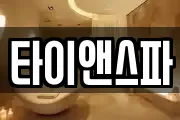 타이앤스파