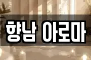 향남 아로마