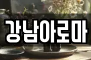 강남아로마