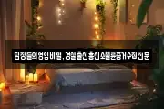 탐정들의영업비밀,경찰출신흥신소불륜증거수집전문