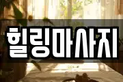 경남 거제시 장평동 마사지, 지압등 업체정보