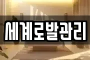 세계로발관리