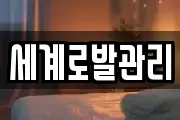 세계로발관리