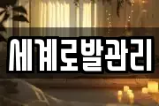 세계로발관리
