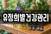 유정희발건강관리