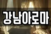 강남아로마