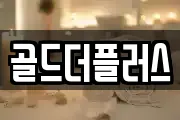 골드더플러스