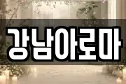 강남아로마