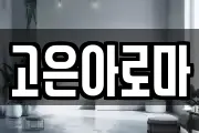 고은아로마
