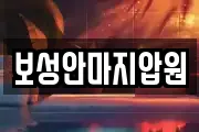 보성안마지압원