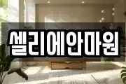 경남 김해시 동상동 마사지, 지압등 업체정보