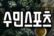 수민스포츠