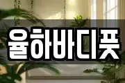 율하바디풋