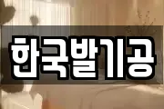 한국발기공