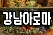 강남아로마