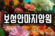 보성안마지압원
