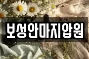 보성안마지압원