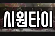 시원타이