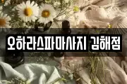경남 김해시 전하동 마사지, 지압등 업체정보