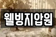웰빙지압원