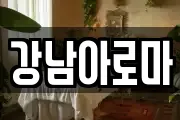 강남아로마
