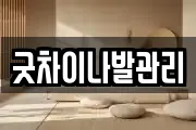 굿차이나발관리