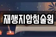 재생지압침술원
