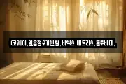 (코웨이,얼음정수기렌탈,비렉스,매트리스,룰루비데,