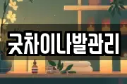 굿차이나발관리
